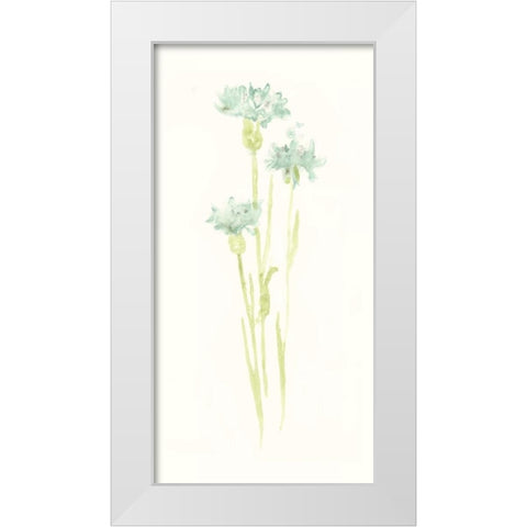 Cornflower Study IV White Modern Wood Framed Art Print by Vess, June Erica