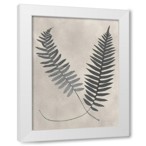 Vintage Fern Study III White Modern Wood Framed Art Print by Vision Studio