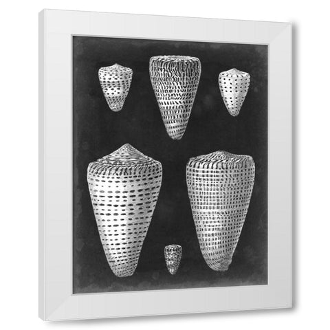 Alabaster Shells I White Modern Wood Framed Art Print by Vision Studio