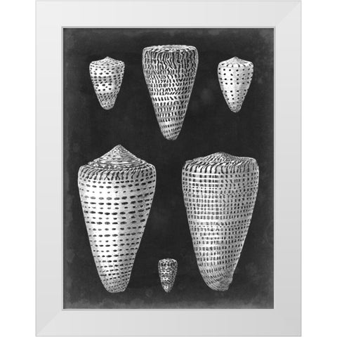 Alabaster Shells I White Modern Wood Framed Art Print by Vision Studio