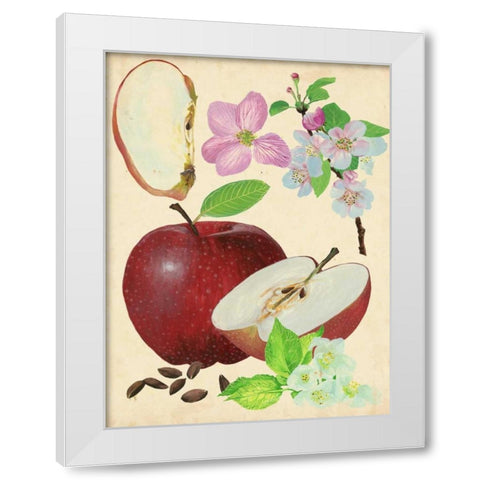 Apple and Blossom Study I White Modern Wood Framed Art Print by Wang, Melissa