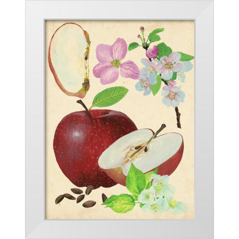 Apple and Blossom Study I White Modern Wood Framed Art Print by Wang, Melissa