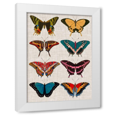 Polychrome Butterflies I White Modern Wood Framed Art Print by Vision Studio