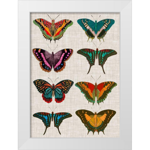 Polychrome Butterflies II White Modern Wood Framed Art Print by Vision Studio