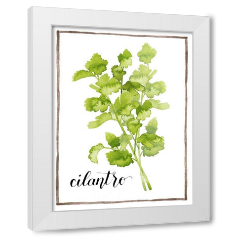 Watercolor Herbs IV White Modern Wood Framed Art Print by Popp, Grace
