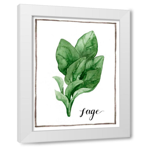 Watercolor Herbs VI White Modern Wood Framed Art Print by Popp, Grace