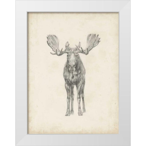 Moose Study  White Modern Wood Framed Art Print by Harper, Ethan