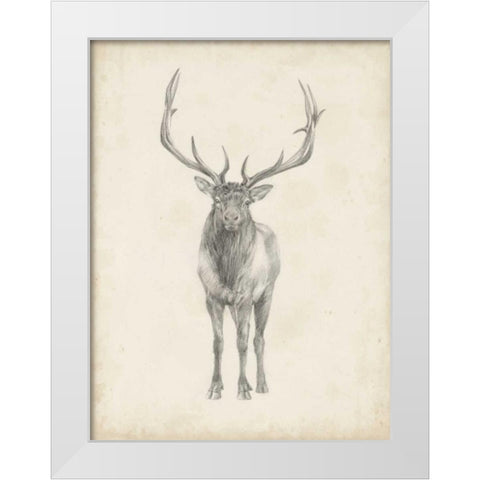 Elk Study White Modern Wood Framed Art Print by Harper, Ethan