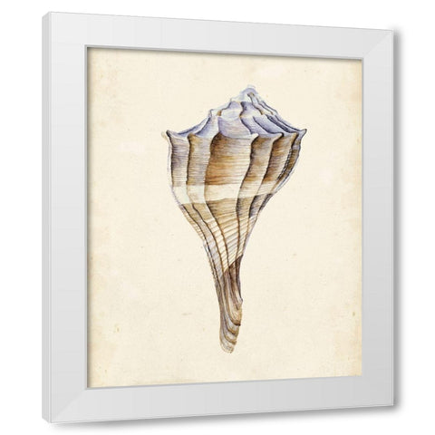 Watercolor Seashell I White Modern Wood Framed Art Print by Wang, Melissa