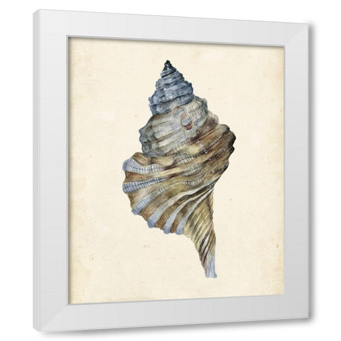 Watercolor Seashell III White Modern Wood Framed Art Print by Wang, Melissa