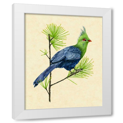 Green Turaco I White Modern Wood Framed Art Print by Wang, Melissa