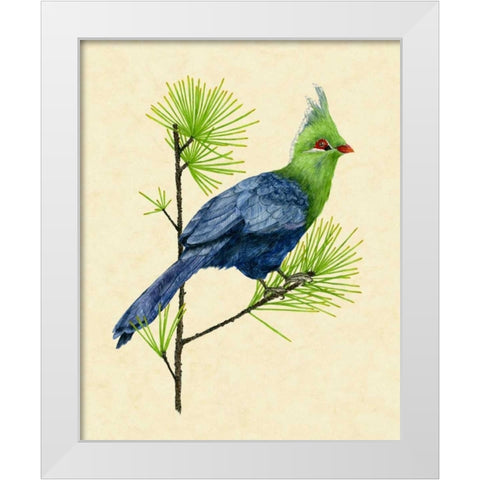 Green Turaco I White Modern Wood Framed Art Print by Wang, Melissa