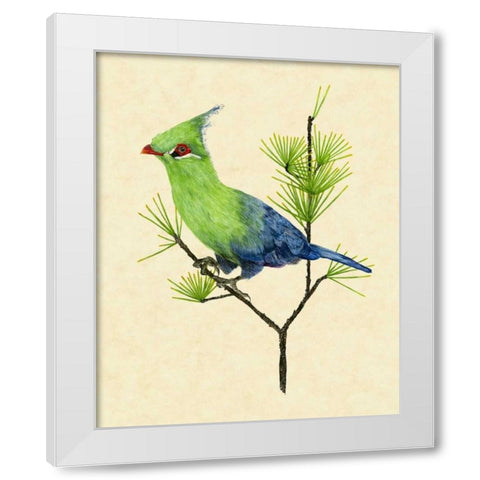 Green Turaco II White Modern Wood Framed Art Print by Wang, Melissa