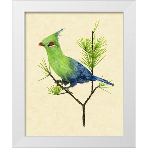 Green Turaco II White Modern Wood Framed Art Print by Wang, Melissa