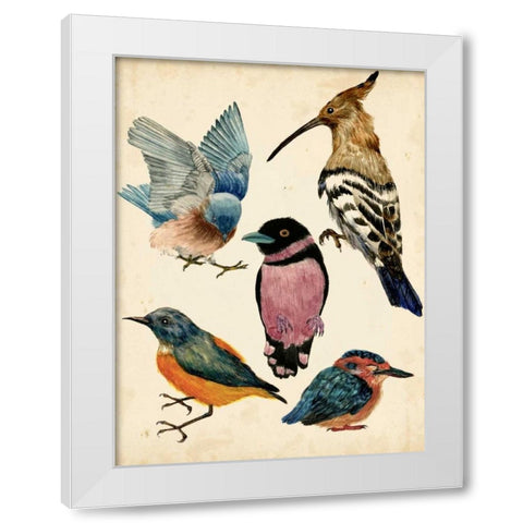 Bird Collection I White Modern Wood Framed Art Print by Wang, Melissa