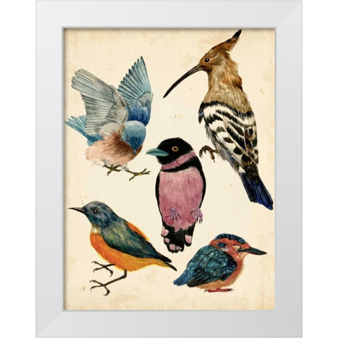 Bird Collection I White Modern Wood Framed Art Print by Wang, Melissa