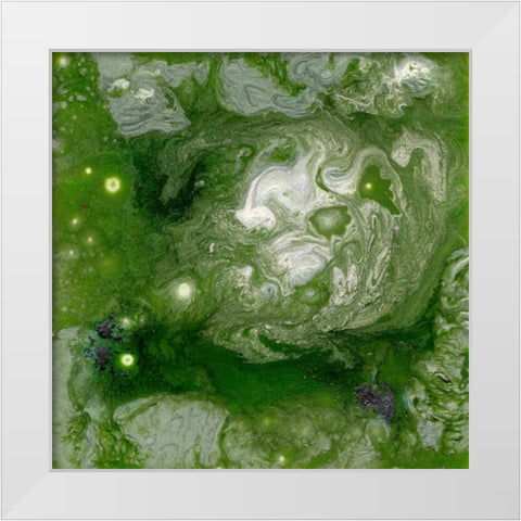 Pangaea II White Modern Wood Framed Art Print by Ludwig, Alicia
