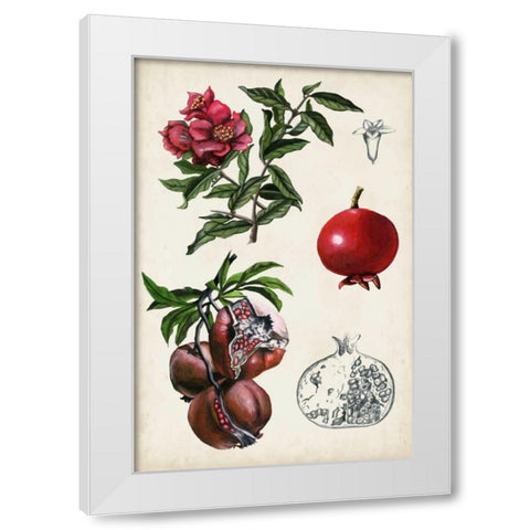 Pomegranate Composition II White Modern Wood Framed Art Print by McCavitt, Naomi