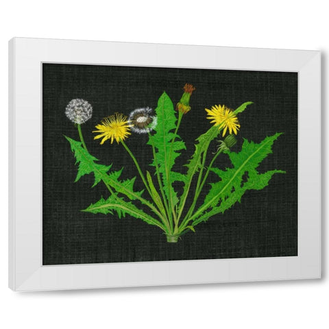 Wild Dandelion I White Modern Wood Framed Art Print by Wang, Melissa