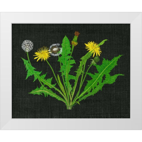 Wild Dandelion I White Modern Wood Framed Art Print by Wang, Melissa