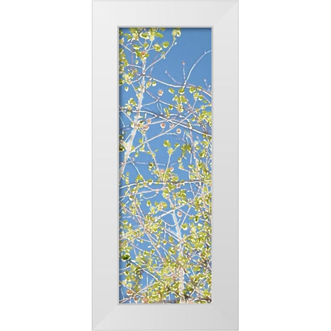 Spring Poplars III White Modern Wood Framed Art Print by Chandler, Sharon