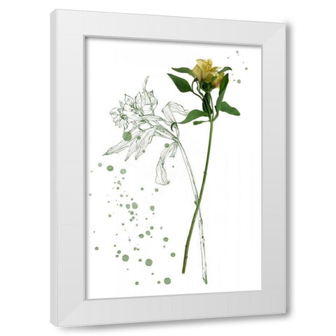 Botany Flower I White Modern Wood Framed Art Print by Wang, Melissa