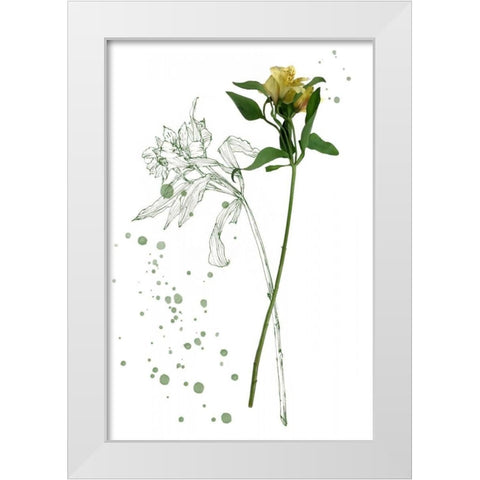 Botany Flower I White Modern Wood Framed Art Print by Wang, Melissa