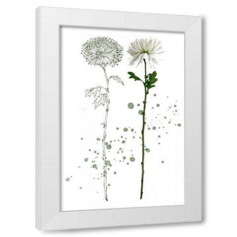 Botany Flower IV White Modern Wood Framed Art Print by Wang, Melissa
