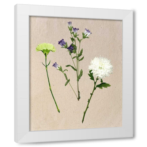 Pretty Pressed Flowers I White Modern Wood Framed Art Print by Wang, Melissa