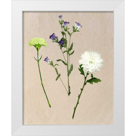 Pretty Pressed Flowers I White Modern Wood Framed Art Print by Wang, Melissa