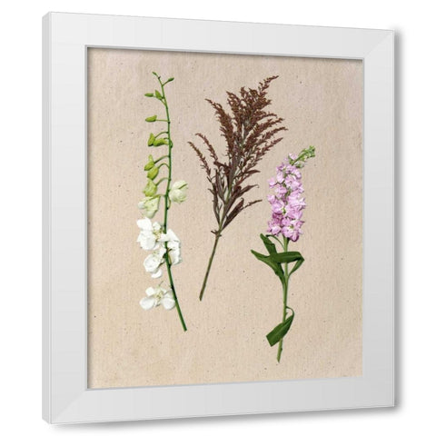 Pretty Pressed Flowers IV White Modern Wood Framed Art Print by Wang, Melissa