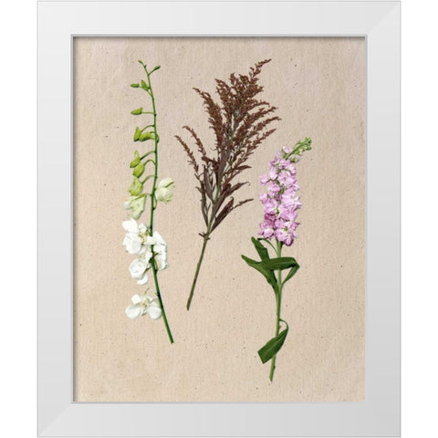 Pretty Pressed Flowers IV White Modern Wood Framed Art Print by Wang, Melissa