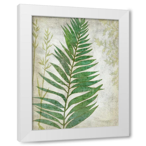 Frond I White Modern Wood Framed Art Print by Zarris, Chariklia