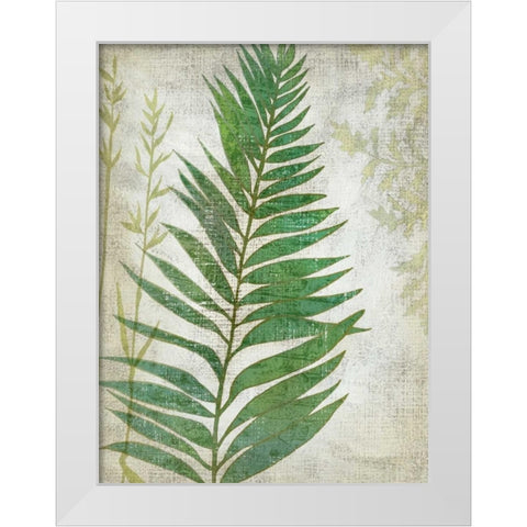 Frond I White Modern Wood Framed Art Print by Zarris, Chariklia