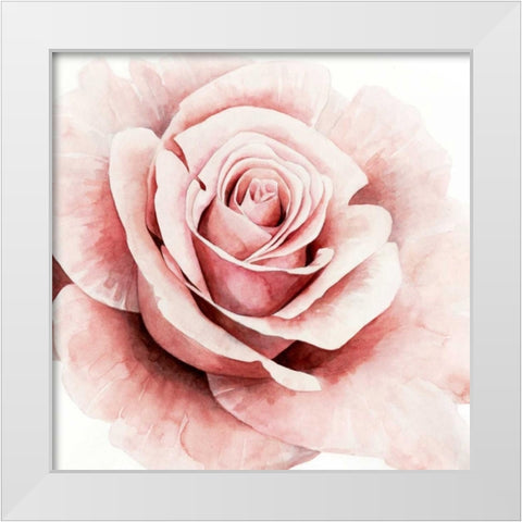 Pink Rose I White Modern Wood Framed Art Print by Popp, Grace
