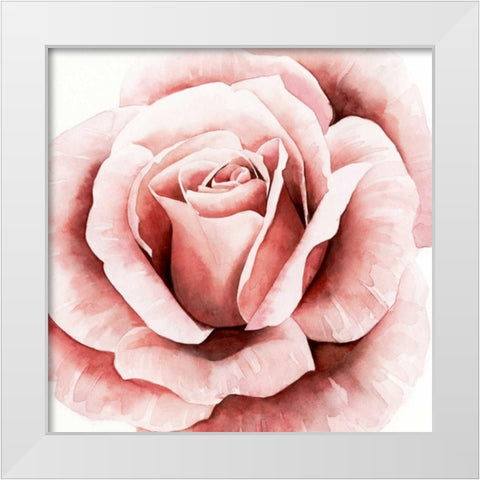 Pink Rose II White Modern Wood Framed Art Print by Popp, Grace