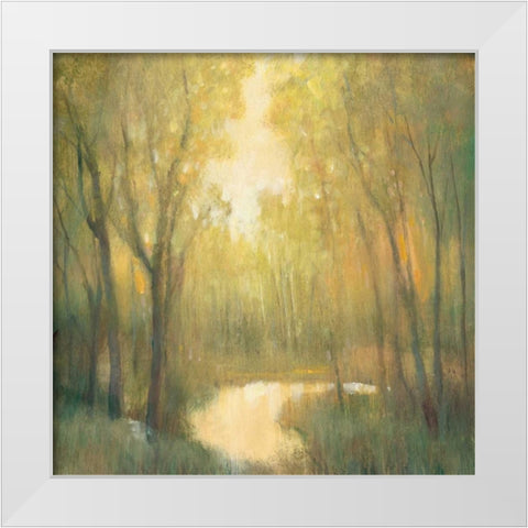 Forest Sanctuary II White Modern Wood Framed Art Print by OToole, Tim
