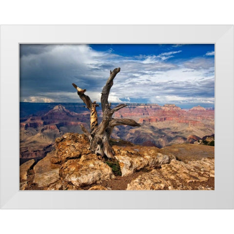 Canyon View V White Modern Wood Framed Art Print by Drost, David