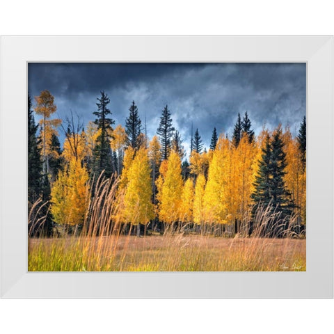 Through the Yellow Trees I White Modern Wood Framed Art Print by Drost, David