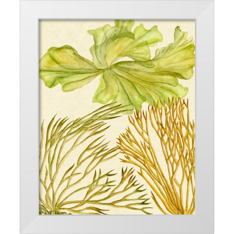 Vintage Seaweed Collection I White Modern Wood Framed Art Print by Wang, Melissa