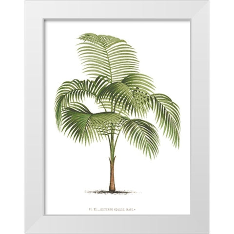 Custom Les Palmiers on White I White Modern Wood Framed Art Print by Unknown