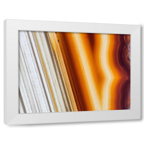 Level II White Modern Wood Framed Art Print by Hartson-Weddle, Ryan