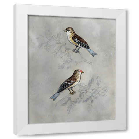 Silvered Aviary II White Modern Wood Framed Art Print by McCavitt, Naomi