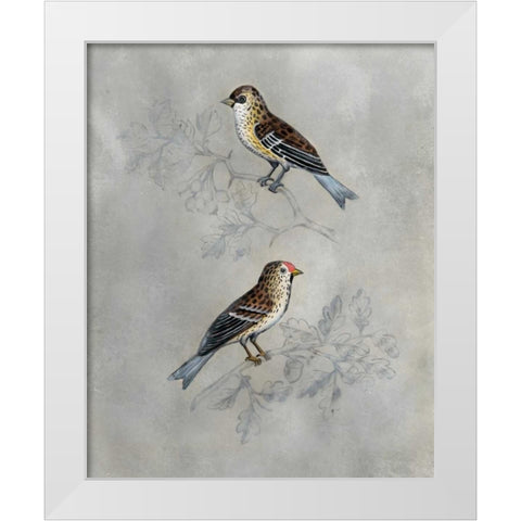 Silvered Aviary II White Modern Wood Framed Art Print by McCavitt, Naomi