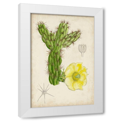 Antique Cactus I White Modern Wood Framed Art Print by Curtis