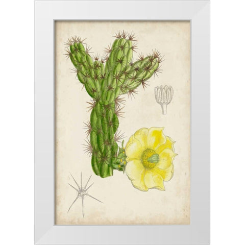Antique Cactus I White Modern Wood Framed Art Print by Curtis