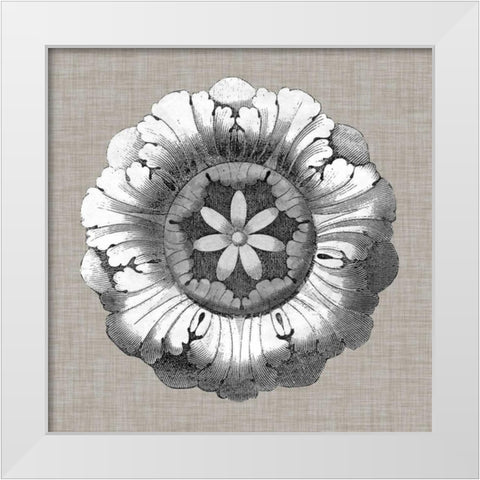 Neutral Rosette Detail II White Modern Wood Framed Art Print by Vision Studio