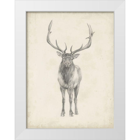 40x30 Custom Elk Study White Modern Wood Framed Art Print by Harper, Ethan