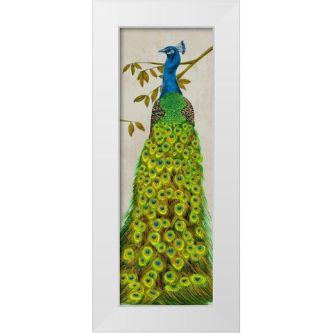 Vintage Peacock II White Modern Wood Framed Art Print by Wang, Melissa