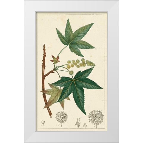 Turpin Maple Tree  White Modern Wood Framed Art Print by Turpin